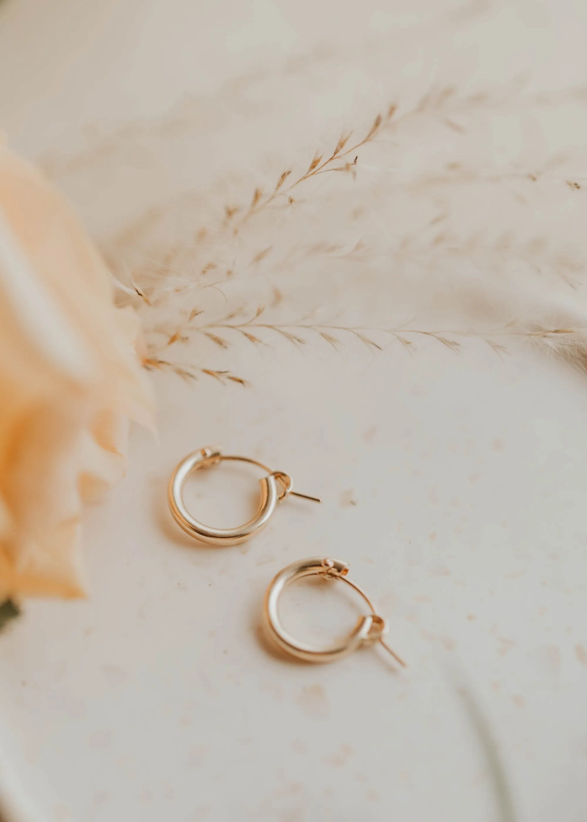 Bold Hoops